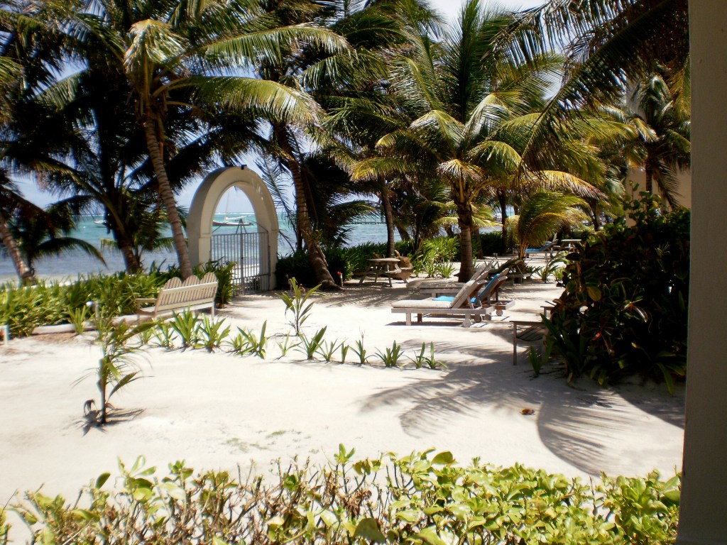 Garden at the Tradewinds