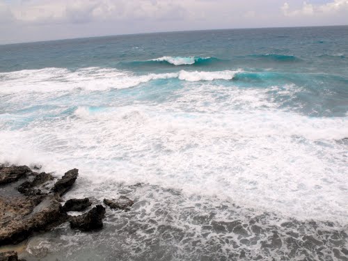 View From the Avalon