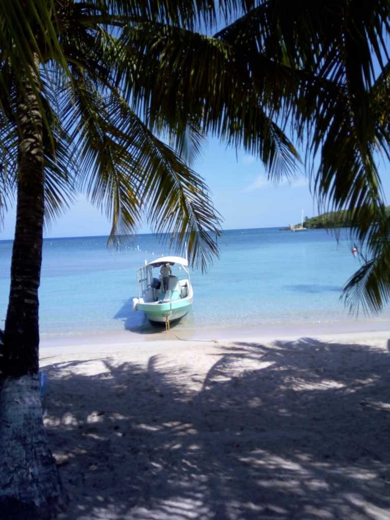 Beach Across from Mr Tucan
