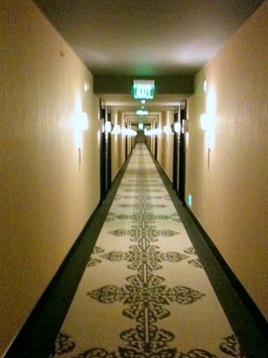 Very Long Hallway
