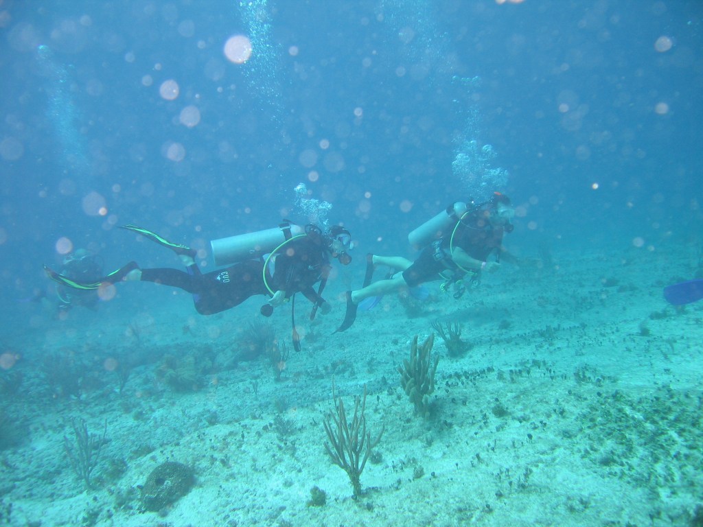 Karen and Dive Master