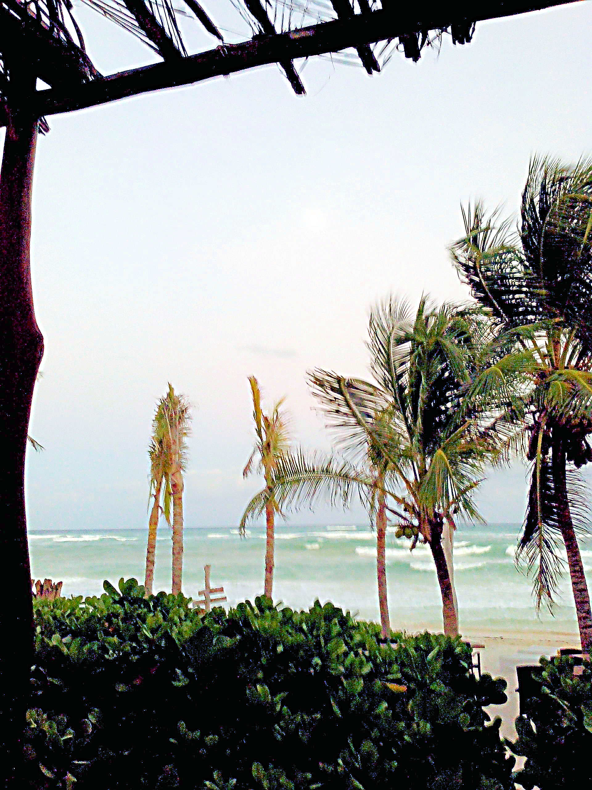 The Beach at Ziggy's