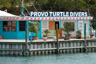 Provo Turtle Divers