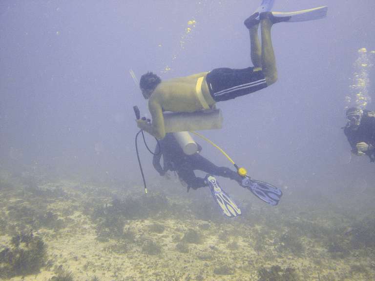 Not a Good Way To Dive