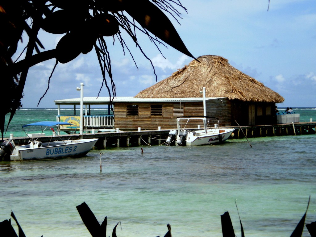 Reef Adventures Dive Shop