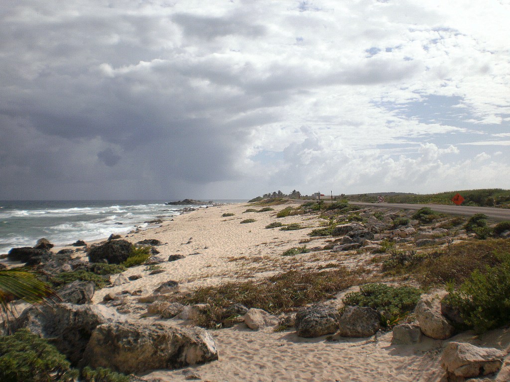 Windward Side of Cozumel