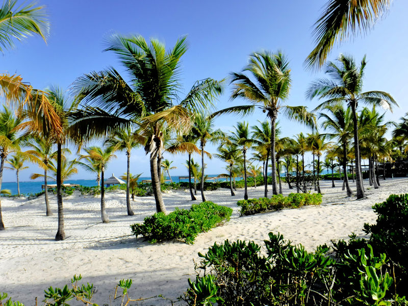 Turks and Caicos Beach