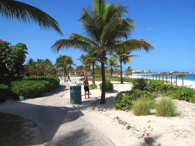 Path to the Dive Shop