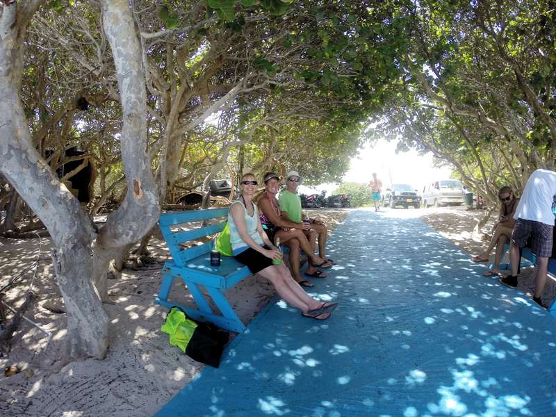 Waiting for a Taxi at Loplolly