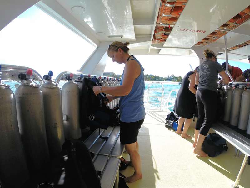 Karen Setting Up Her Tanks